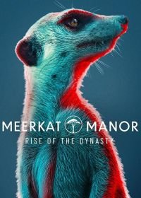 Усадьба сурикатов: Расцвет династии (2021) Meerkat Manor: Rise of the Dynasty