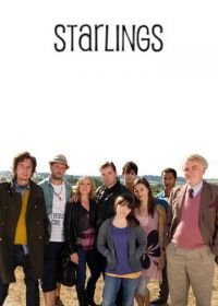 Старлинги (2012-2013) Starlings