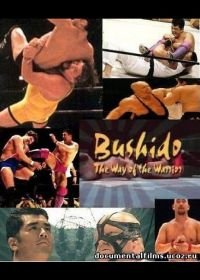 Бушидо – Путь воина / Бусидо - путь воина (1994-1996) Bushido / UWFi-BUSHIDO – The way of warrior