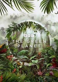 Зелёная планета (2022) The Green Planet