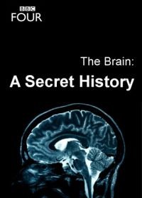 Мозг: Тайны сознания (2011) The Brain: A Secret History