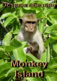 Остров обезьян (2019) Monkey Island
