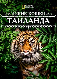 Дикие кошки Таиланда (2021) Thailand's Wild Cats