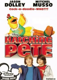 Пит в перьях (2009) Hatching Pete