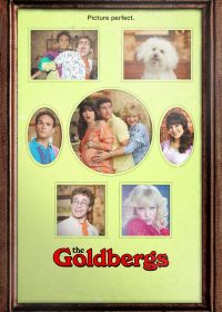 Голдберги (2013-2023) The Goldbergs