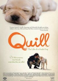 Куилл (2004) Quill