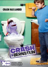 Крэш и Бернштейн (2012) Crash & Bernstein