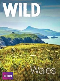 Дикий Уэльс (2010) Wild Wales