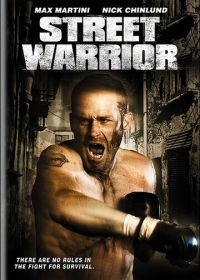 Уличный воин (2008) Street Warrior