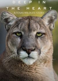 Глубоко в сердце: история дикой природы Техаса (2022) Deep in the Heart: A Texas Wildlife Story