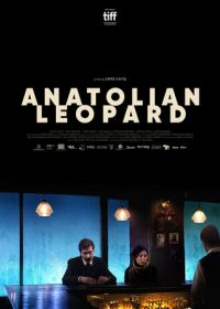 Анатолийский леопард (2021) Anadolu Leopari