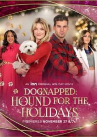 Похищение: щенок на праздники (2022) Dognapped: Hound for the Holidays