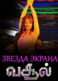 Звезда экрана (2008) Vasool