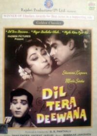 Сердце безрассудно (1962) Dil Tera Diwana