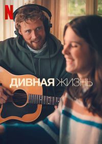 Дивная жизнь (2023) A Beautiful Life