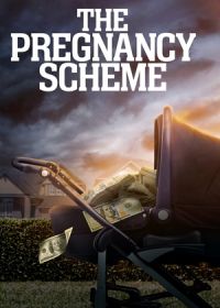 Фальшивая беременность (2023) The Pregnancy Scheme