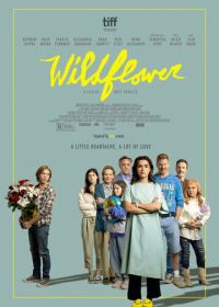 Полевой цветок (2022) Wildflower