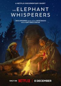 Заклинатели слонов (2022) The Elephant Whisperers