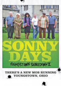 Дни Сонни: Падение Янгстауна 2 (2022) Sonny Days