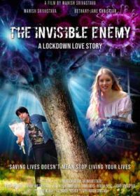 Невидимый враг (2022) The Invisible Enemy