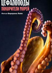 Цефалоподы – покорители морей (2021) Céphalopodes: le règne des ventouses