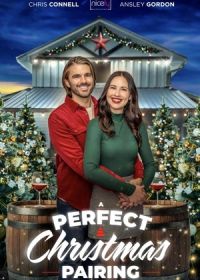 Идеальное рождественское сочетание (2023) A Perfect Christmas Pairing