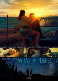 Что, если я отступлю? (2020) What if I Defect?