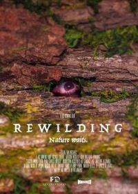 К истокам (2023) Rewilding