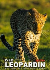 Королева леопардов (2020) Die Leopardin