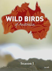 Дикие птицы Австралии (2016) Wild Birds of Australia