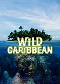 Дикая природа Карибских островов (2018) Wild Caribbean - Rhythms of Life
