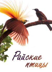 Райские птицы (2014) Birds of Paradise