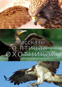 Рассказы о птицах-охотниках (2011) Tales of the Avian Hunters