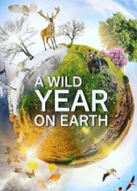 Дикий год на Земле (2020) A Wild Year on Earth