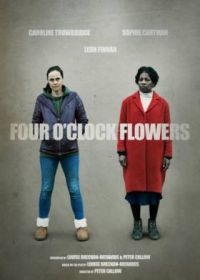 Цветы на четыре часа (2022) Four O'Clock Flowers