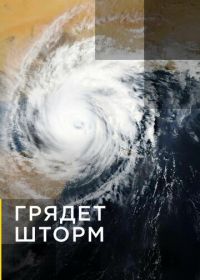 Грядет шторм (2020) Gathering Storm