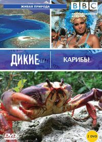 BBC: Дикие Карибы (2007) Wild Caribbean