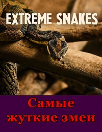 Самые жуткие змеи (2022) Extreme Snakes