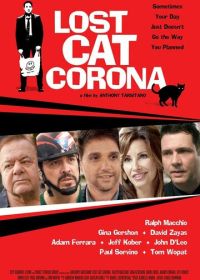В Короне пропал кот (2017) Lost Cat Corona
