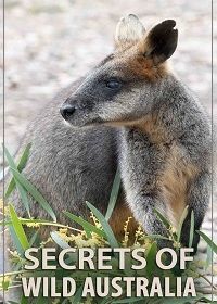 Тайны дикой природы Австралии (2016) Secrets of Wild Australia