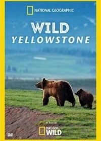 Дикий Йеллоустоун (2015) Wild Yellowstone