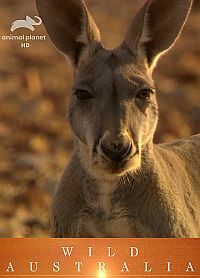 Animal Planet: Дикая Австралия (2011) Wild Australia