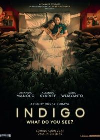 Индиго (2023) Indigo