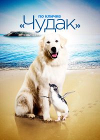 По кличке «Чудак» (2015) Oddball