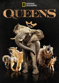 Королевы (2024) Queens