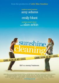 Чистка до блеска (2008) Sunshine Cleaning