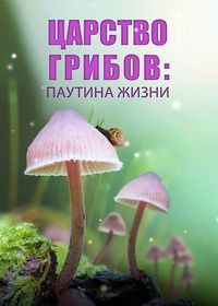 Царство грибов: Паутина жизни (2023) Fungi: The Web of Life