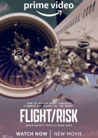 Полёт/риск (2022) Flight/Risk