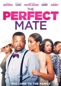 Идеальный партнёр (2020) The Perfect Mate