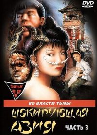 Шокирующая Азия 3 (1996) Shocking Asia III: After Dark